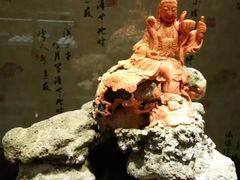 -东海珊瑚博物馆
