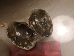 辣炒花蛤-日进一片海.生腌海鲜火锅.宵夜烧烤(三里屯总店)