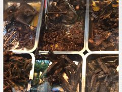 -金元源酱板鸭(解放路店)