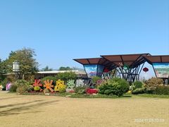 -上海长兴岛郊野公园