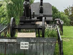 -上海吴淞炮台湾国家湿地公园
