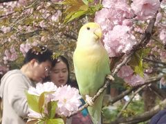 -青皮树酒店(合肥第十中学王岗路地铁站店)