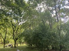 -东湖落雁景区