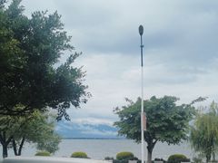 -野菌皇海景野生菌火锅(滨海大道店)