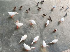 -迎泽公园