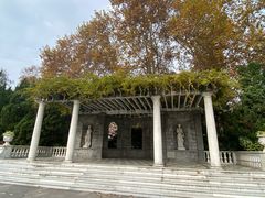 -中山公园