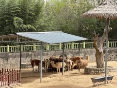 -西安秦岭野生动物园