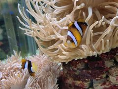 -太平洋海底世界