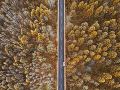 -粘豆包柴火铁锅炖