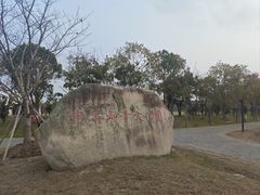 -上海海湾国家森林公园