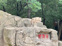 -常州淹城野生动物世界