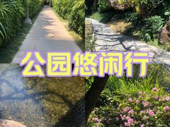 -广州兰圃