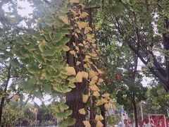 -剪刀石头布家居广场