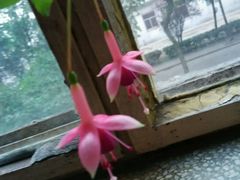 -比尔斯健康烤肉自助餐厅