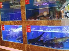 水产区-巴特餐饮6加1音乐餐吧·新疆菜