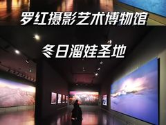 -罗红摄影艺术馆