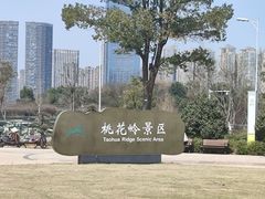 -桃花岭景区