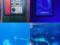 -海合安天津极地海洋公园