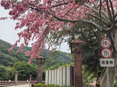 -风云岭森林公园