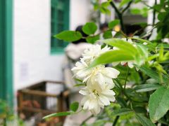 -大水的店(昙华林店)