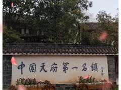 -黄龙溪古镇