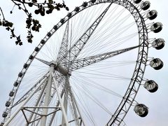 -石家庄市植物园