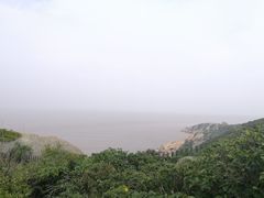 -洋山深水港