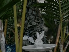 -北马山庄植趣咖啡
