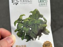 -深圳仙湖植物园