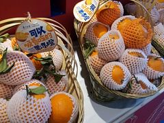 -眉州东坡(通州店)