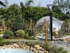 -水王国温泉水世界