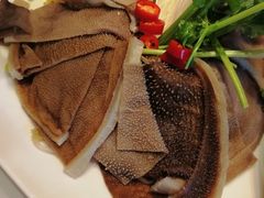 黑猪毛肚-国惠大酒楼(宝龙店)