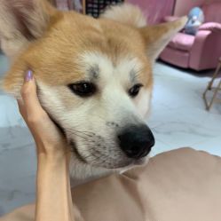 -JX今喜美甲美睫