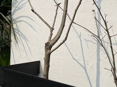 -云里小坐·小院里·团建·宴请·下午茶(三圣乡店)