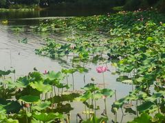 -上海市保健医疗中心