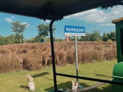 -同里国家湿地公园
