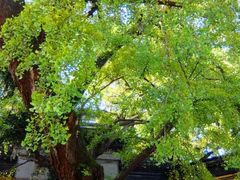 -无锡惠山寺