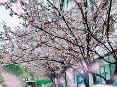 -徐图港(地铁站)