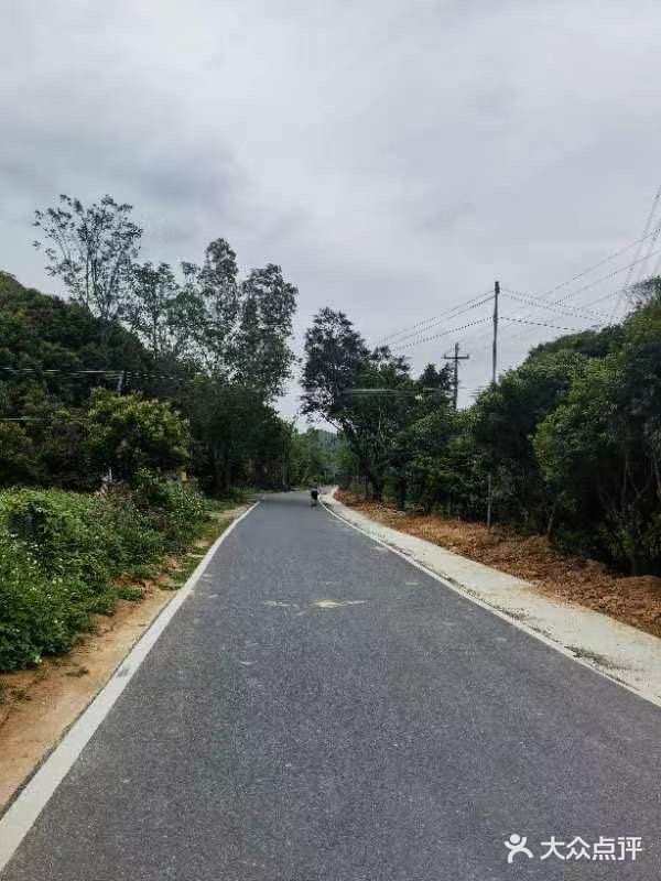 巅峰减重高端减肥训练营(惠州店)图片