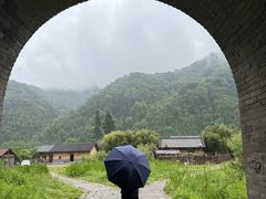 -黑河国家森林公园