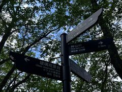 -陕西省红河谷森林公园