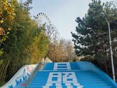 -日照海滨国家森林公园
