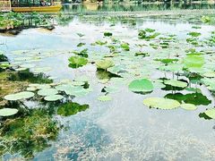 -承德避暑山庄景区