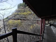 -佛慧山