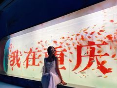 -重庆欢乐海底世界