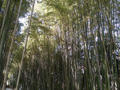 -上海市龙华烈士陵园