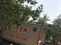 -和平搬家公司