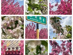 -海棠花溪(元大都城垣遗址公园)