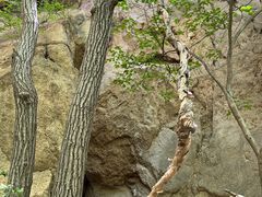 -大岭沟猕猴桃谷风景区