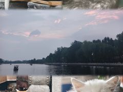 -什刹海